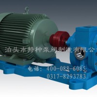 广西油泵订制加工-泊特泵厂价零售可调压式齿轮油泵