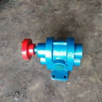 海南齿轮泵厂家供货/泊禹公司/厂家定制WCB外润滑齿轮泵