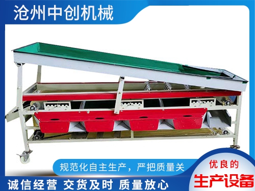 山东大枣核桃筛选机