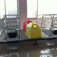 广西猪用产床制造厂家_沧州万晟畜牧设备供应高培分娩床