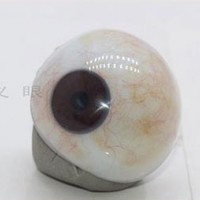 江苏义眼|泊头市艺水碧天公司订做蓝色过渡带义眼