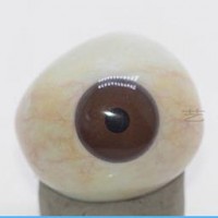 山东高分子义眼-艺水碧天医疗器械有限公司订制3D立体虹膜