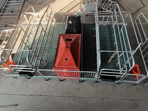 小猪保育床费用