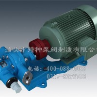 海南不锈钢齿轮油泵订制加工|泊头特种泵厂价零售KCB齿轮泵