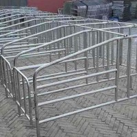 北京猪用定位栏定制_沧州万晟畜牧设备公司订做热镀锌管限位栏
