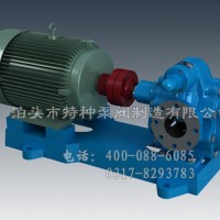 辽宁齿轮油泵定制-泊特泵厂家零售齿轮泵
